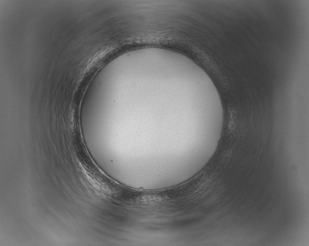 X0000076310636200610201613