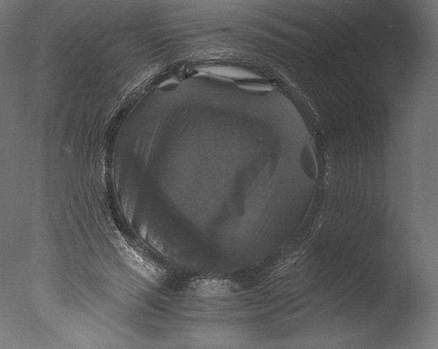 X0000076310637200610201613