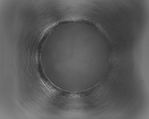 X0000076310640200610201613