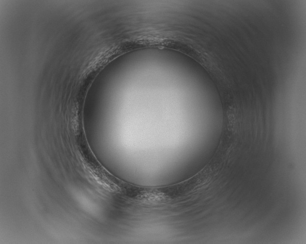 X0000076310642200610201614