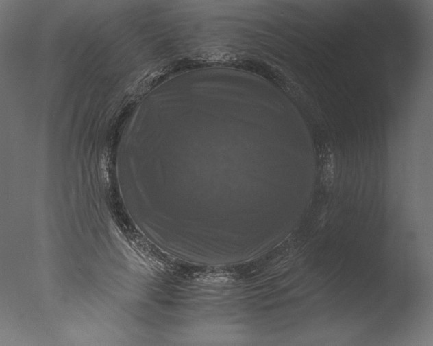 X0000076310643200610201614