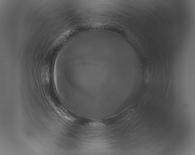 X0000076310644200610201614