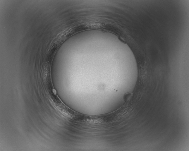 X0000076310645200610201614