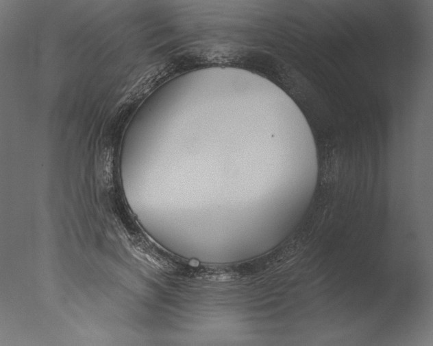 X0000076310646200610201614