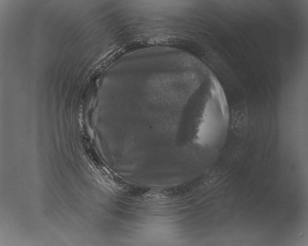 X0000076310648200610201614