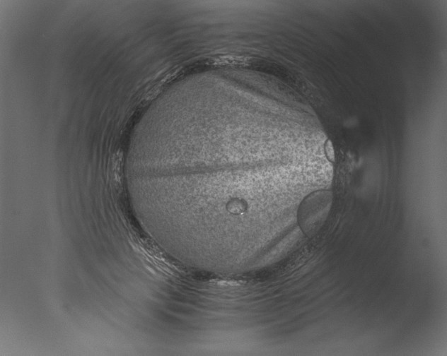 X0000076310649200610201614