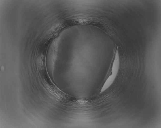 X0000076310650200610201614