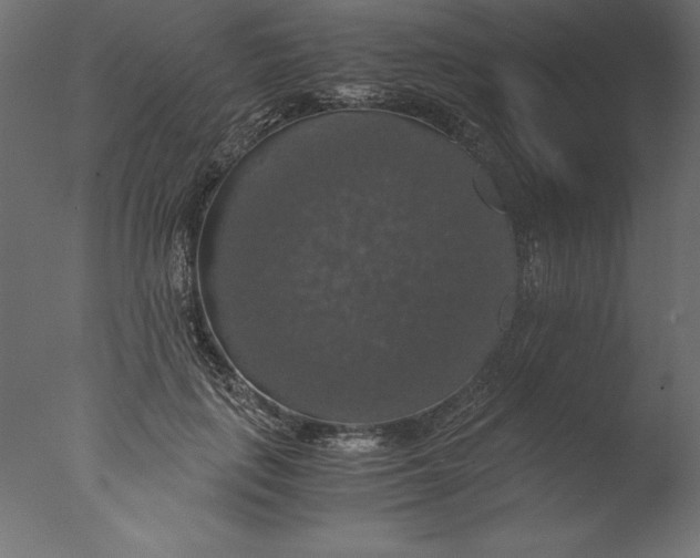 X0000076310651200610201614