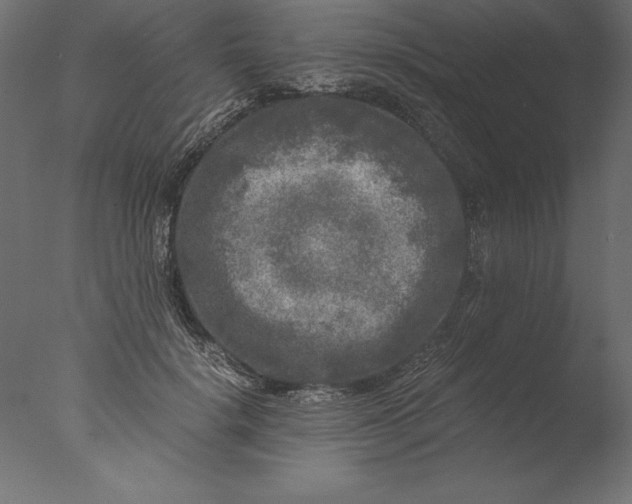 X0000076310652200610201614