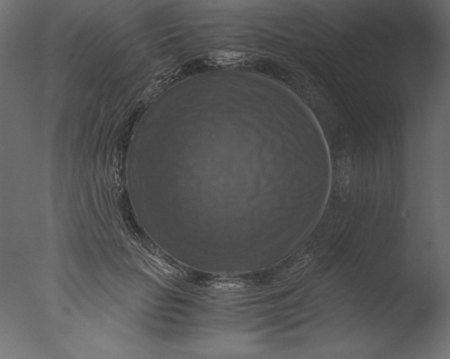 X0000076310653200610201614