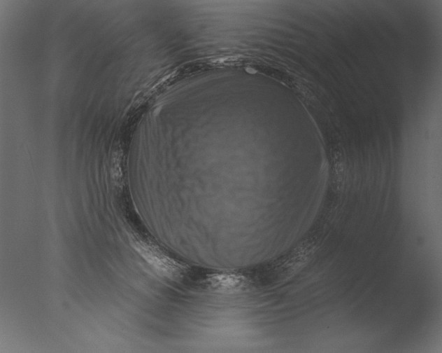 X0000076310654200610201614