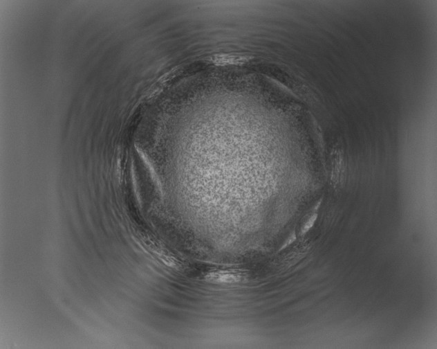 X0000076310655200610201614