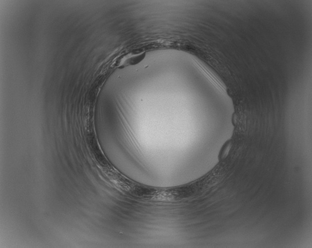 X0000076310656200610201614