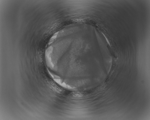 X0000076310658200610201614