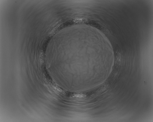 X0000076310659200610201614