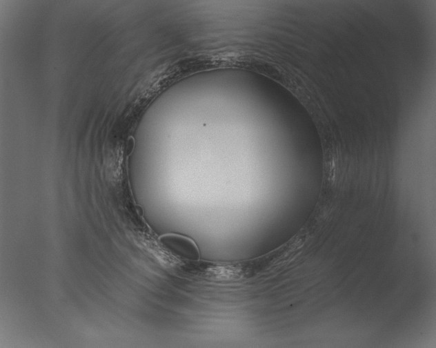 X0000076310660200610201614