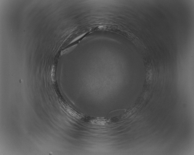 X0000076310661200610201614