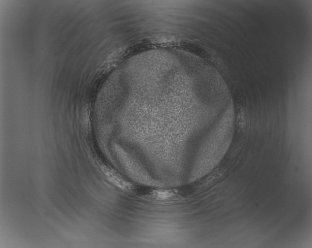 X0000076310662200610201614