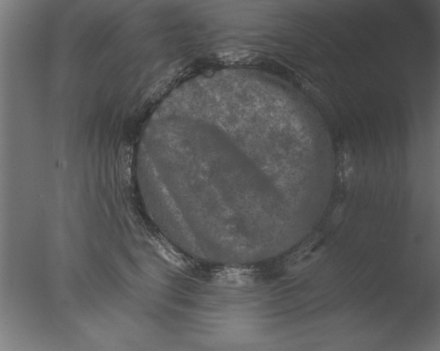 X0000076310664200610201614