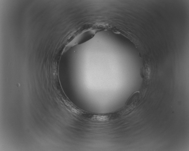 X0000076310665200610201614