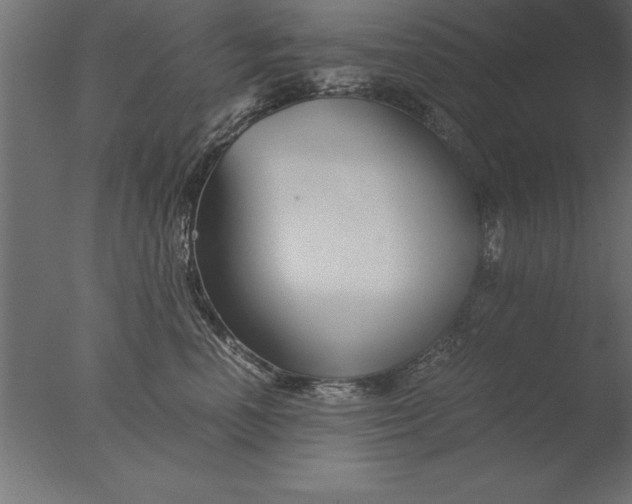 X0000076310666200610201614