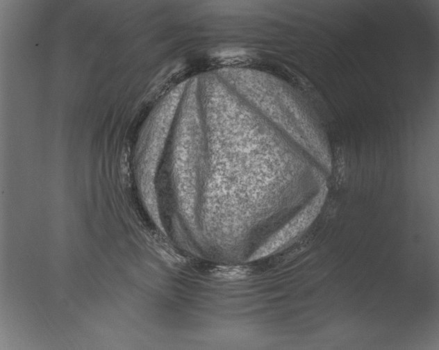 X0000076310667200610201614