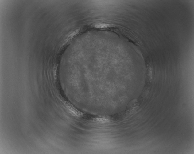 X0000076310668200610201614