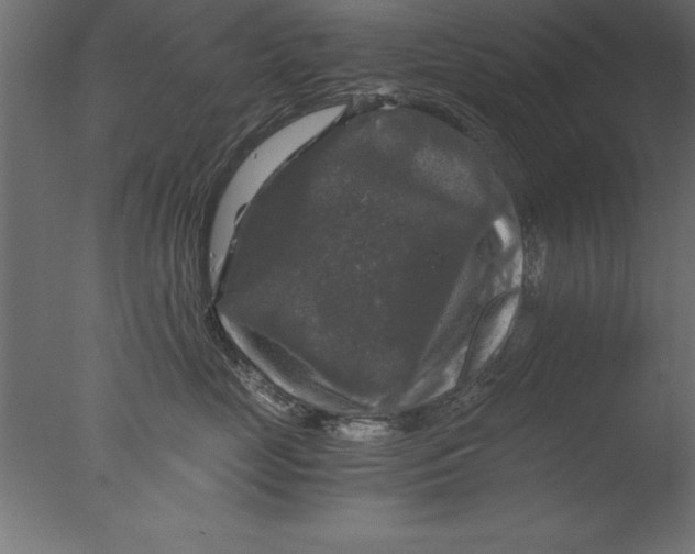 X0000076310669200610201614