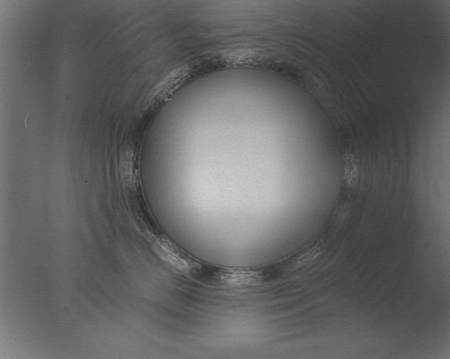 X0000076310670200610201614