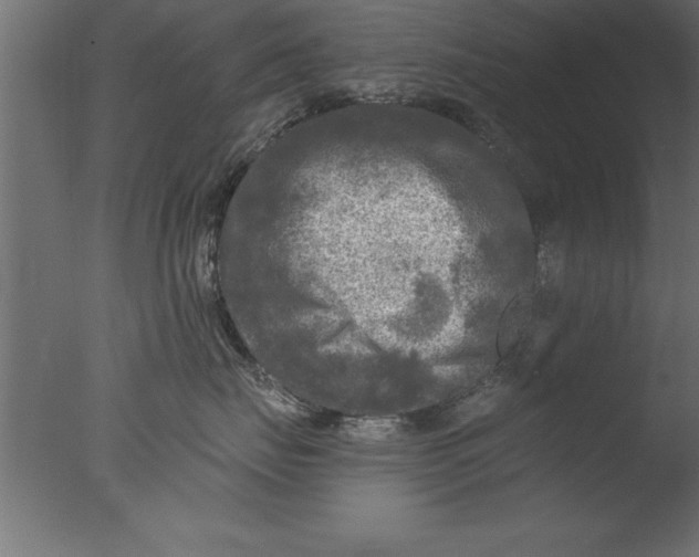 X0000076310671200610201614