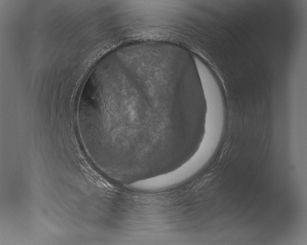 X0000076310673200610201613