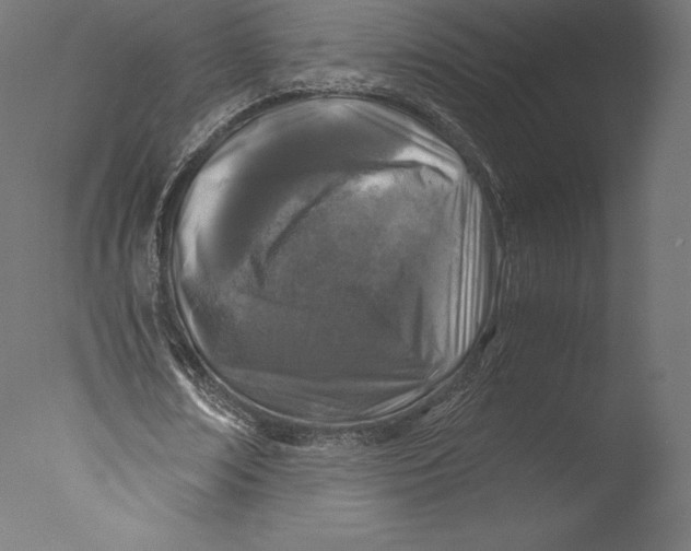 X0000076310674200610201613