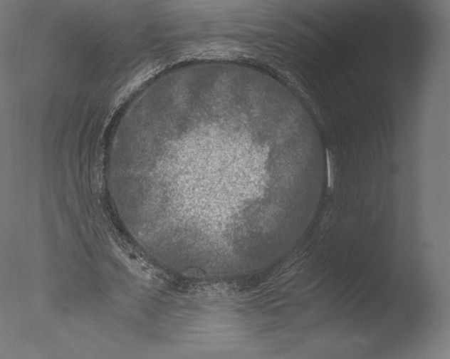 X0000076310675200610201613