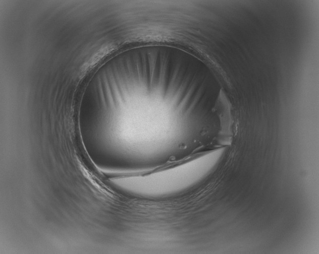 X0000076310677200610201613