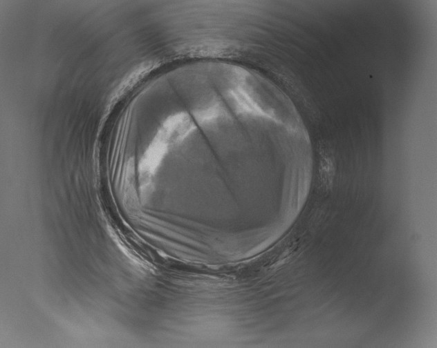 X0000076310678200610201613