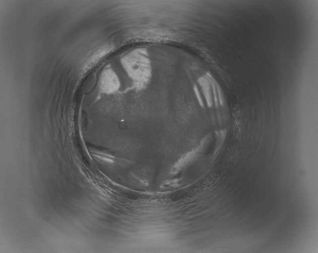 X0000076310679200610201613