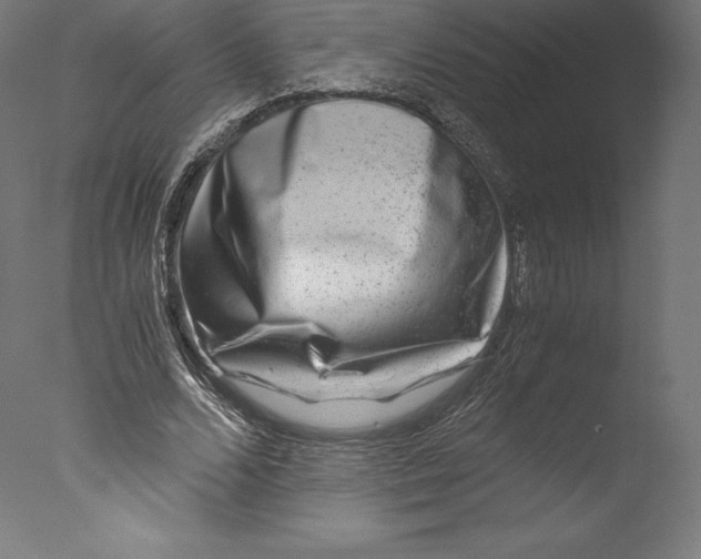 X0000076310680200610201613