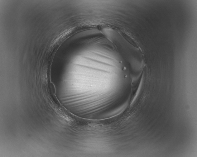 X0000076310681200610201613