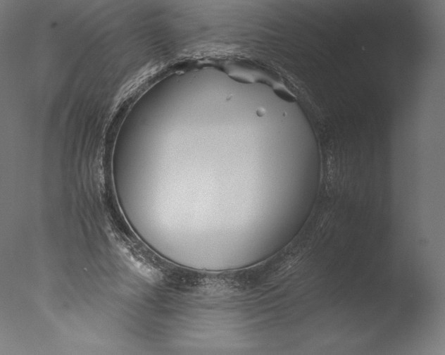 X0000076310682200610201613