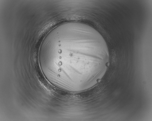 X0000076310683200610201613