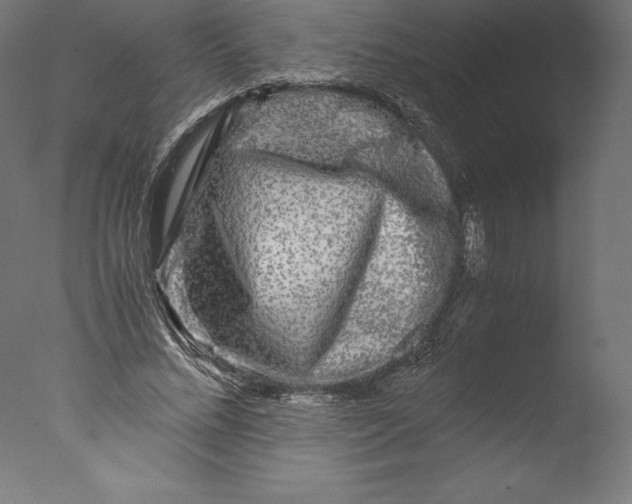 X0000076310684200610201613