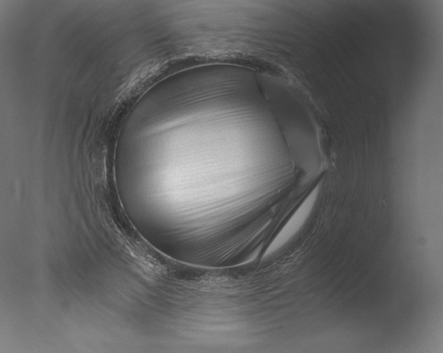 X0000076310685200610201613