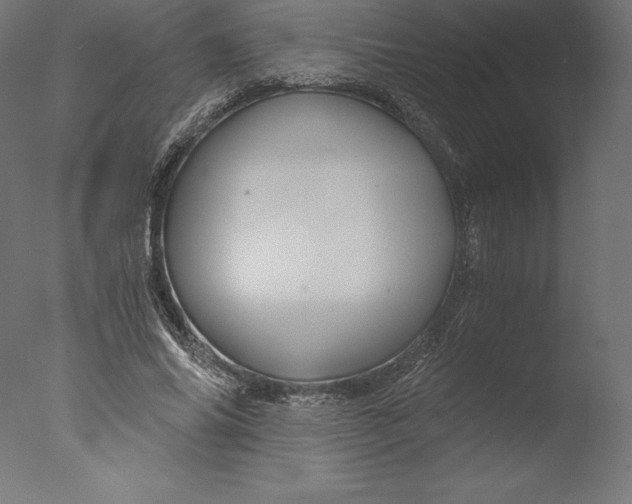 X0000076310686200610201613