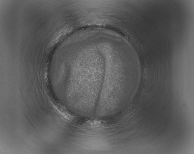 X0000076310687200610201613