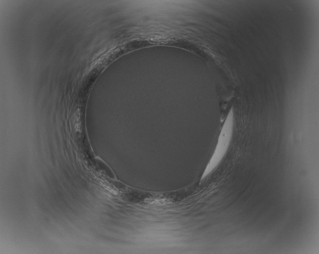 X0000076310689200610201613