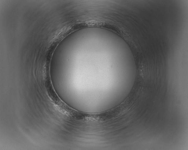 X0000076310690200610201613