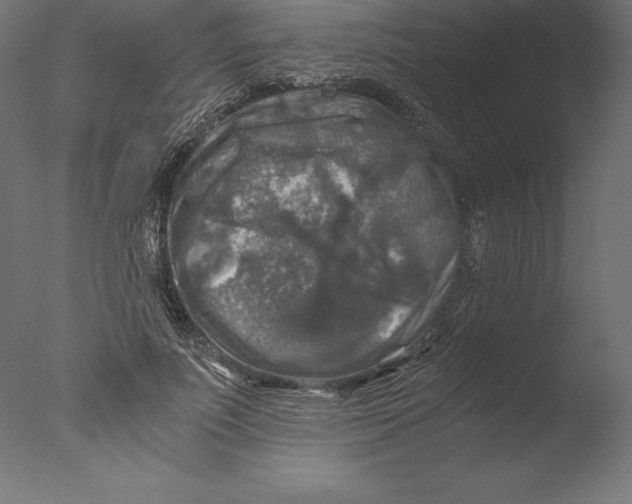 X0000076310691200610201613