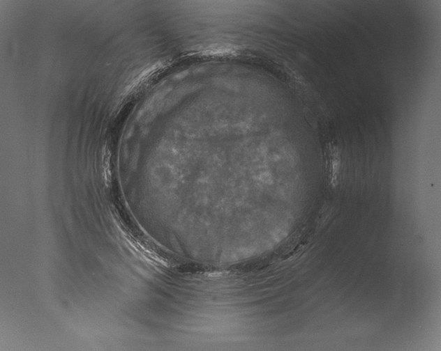 X0000076310692200610201613