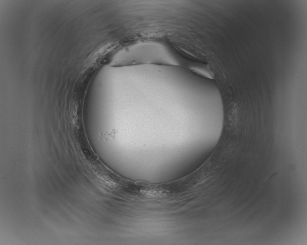 X0000076310693200610201613