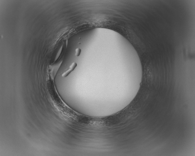 X0000076310694200610201613